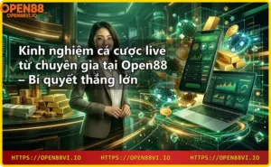 Open88 nhà cái uy tín cá cược live